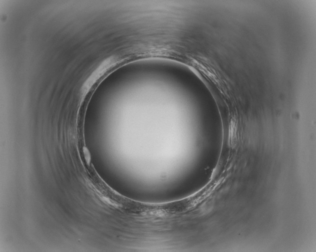 X0000062140195200512091224