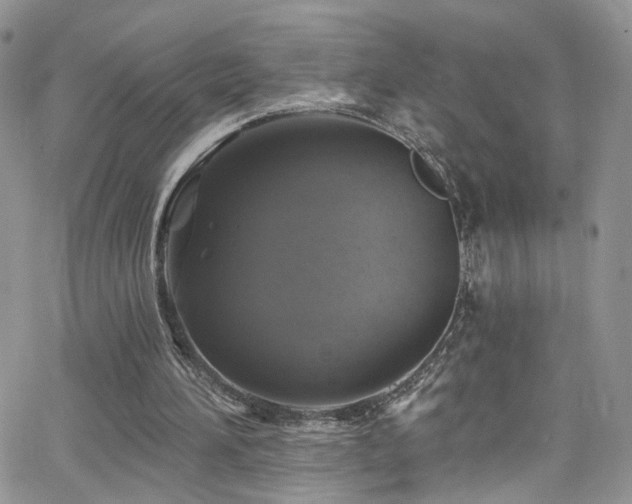 X0000062140196200512091224