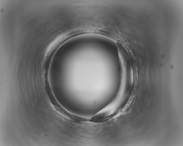 X0000062140197200512091223