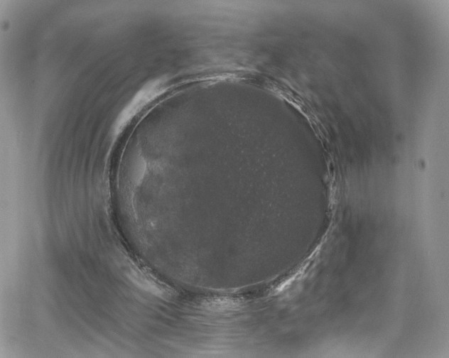 X0000062140198200512091223