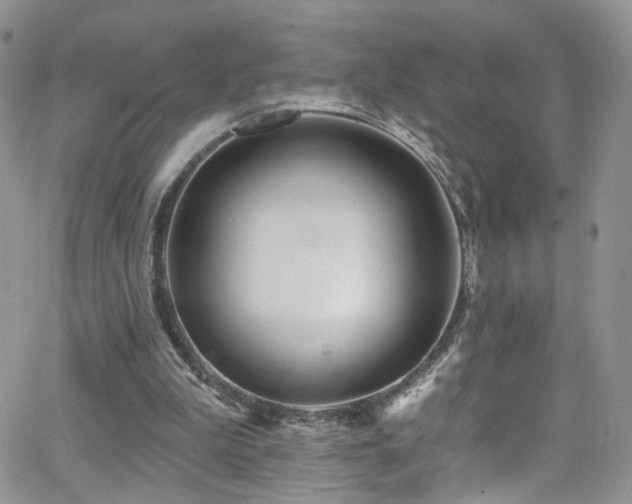 X0000062140199200512091223