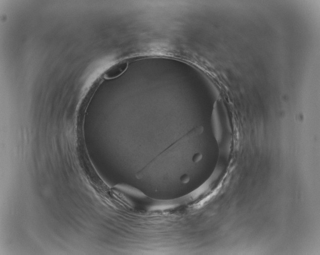 X0000062140200200512091223