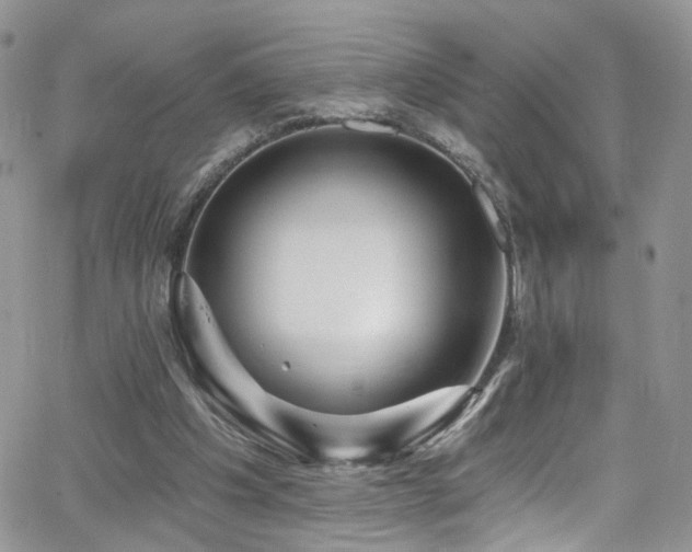 X0000062140201200512091223