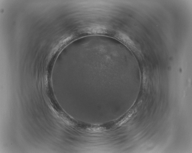 X0000062140202200512091223