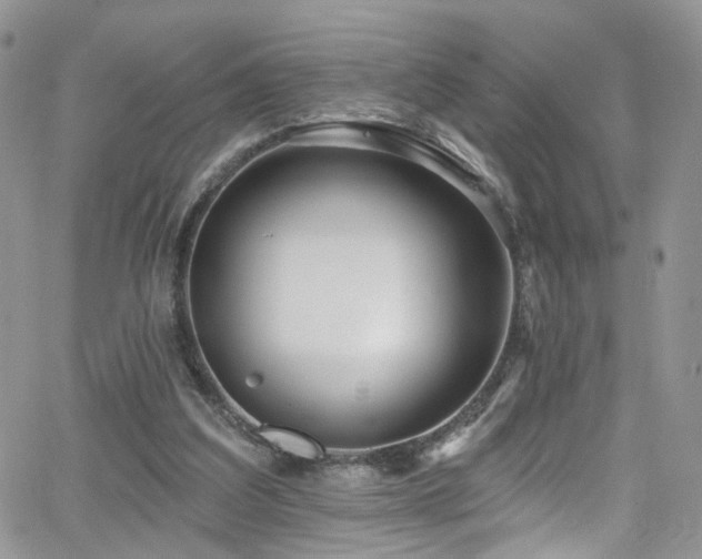 X0000062140203200512091223