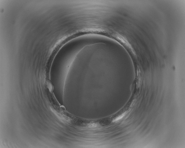 X0000062140204200512091223