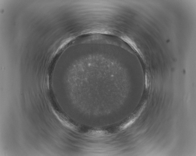 X0000062140205200512091223