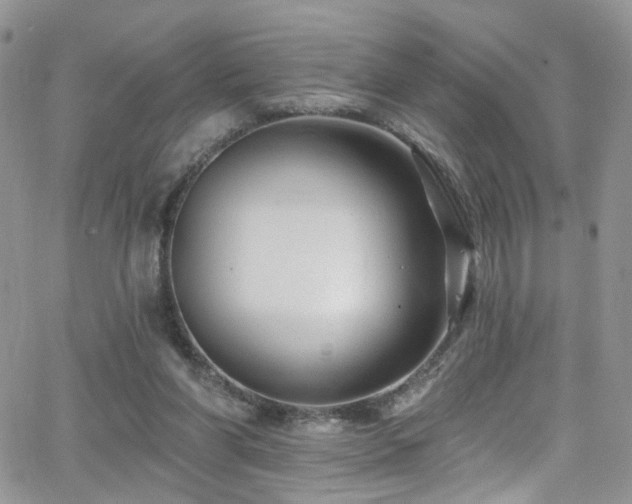 X0000062140206200512091223