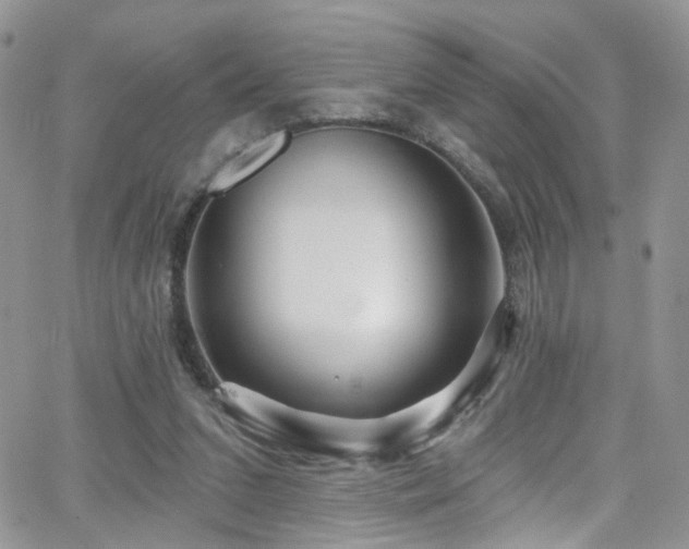 X0000062140207200512091223