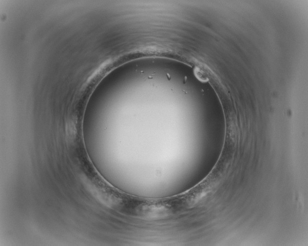 X0000062140208200512091223