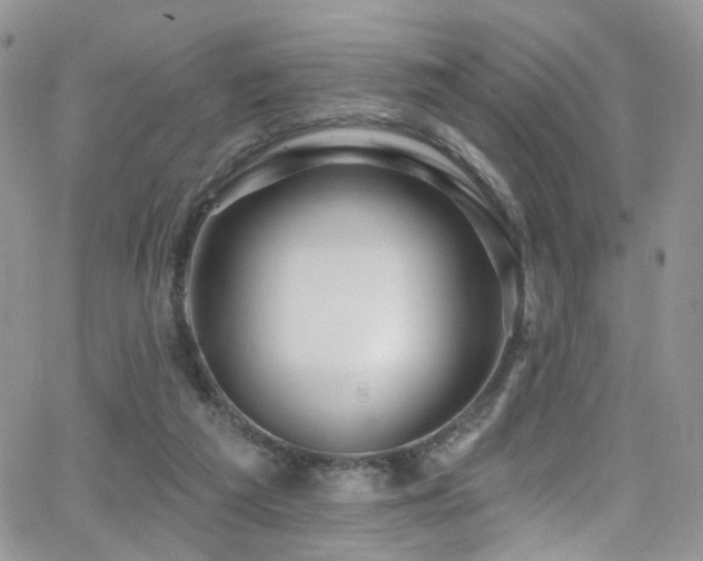 X0000062140209200512091223