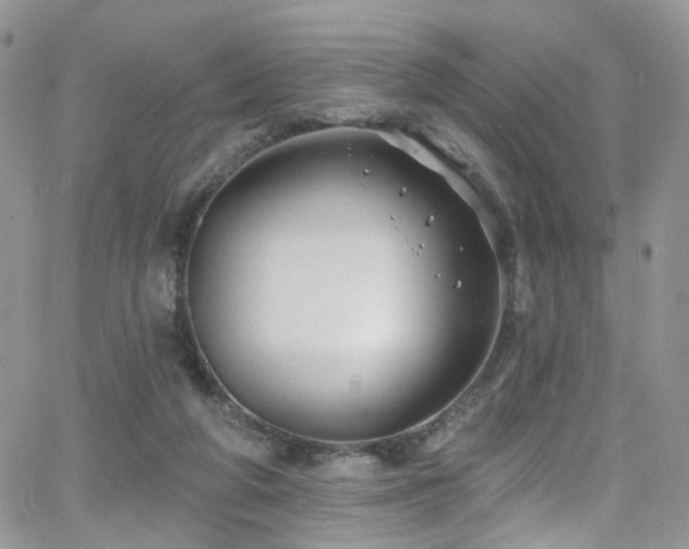 X0000062140210200512091223