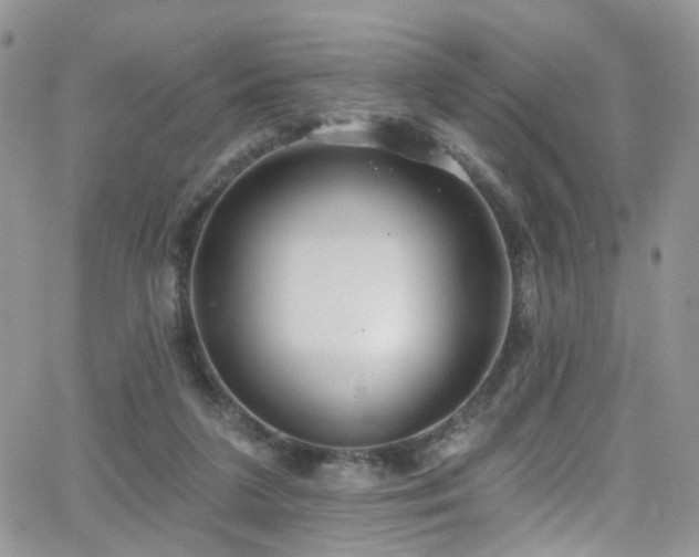 X0000062140211200512091223