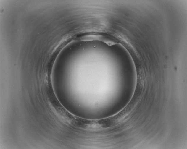 X0000062140212200512091223