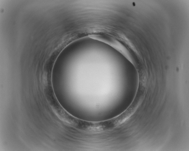 X0000062140213200512091223