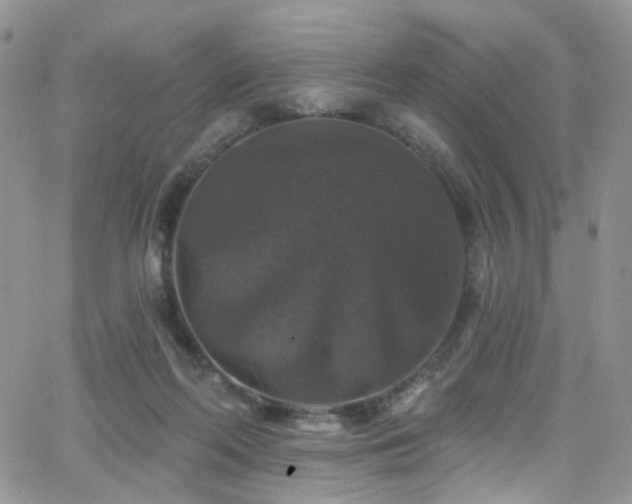 X0000062140214200512091223