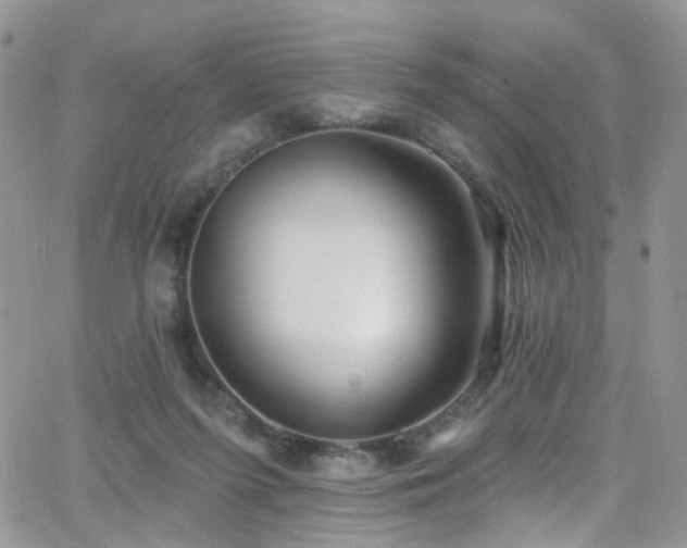 X0000062140215200512091223