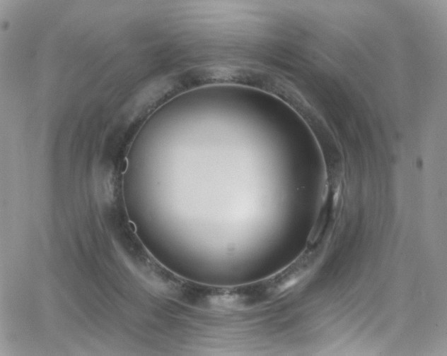 X0000062140216200512091223