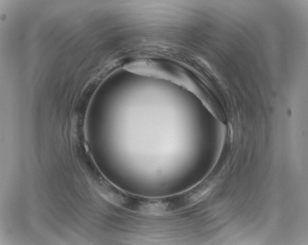 X0000062140217200512091223