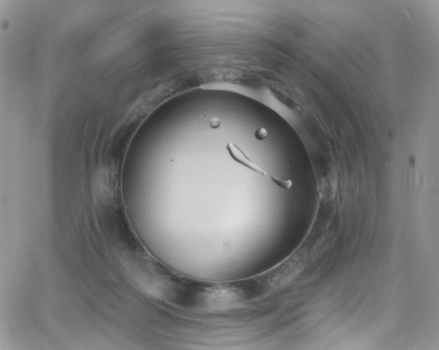 X0000062140218200512091223