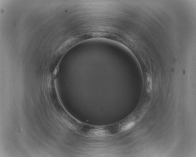 X0000062140219200512091223