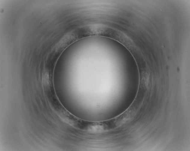 X0000062140220200512091223