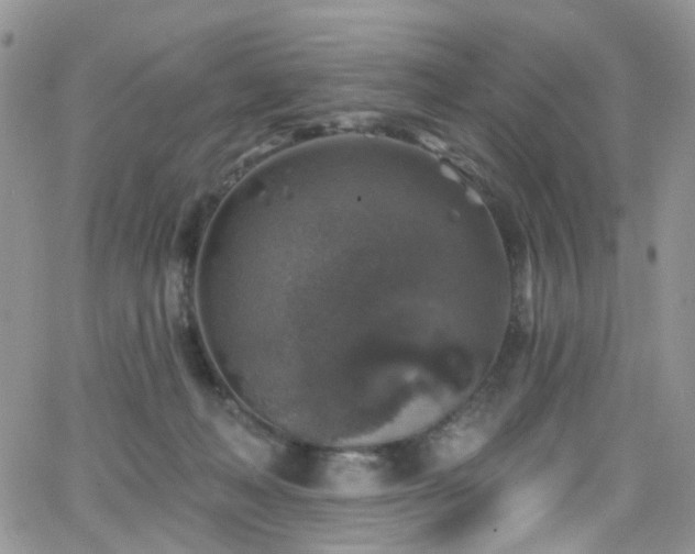 X0000062140222200512091223