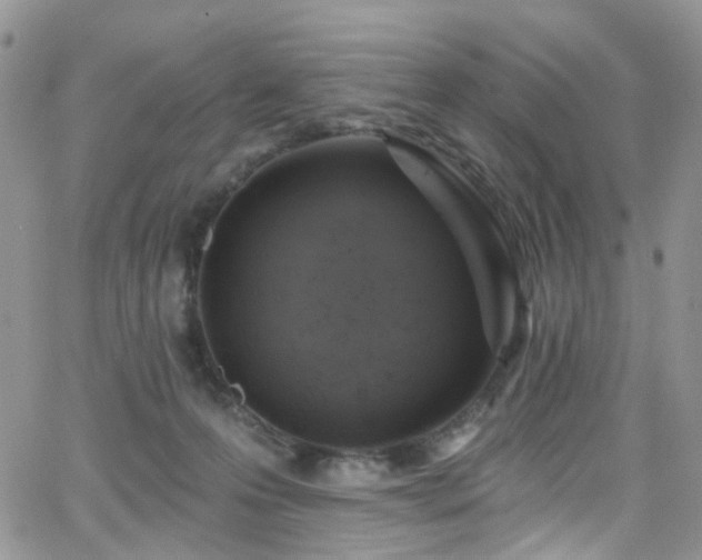 X0000062140223200512091223