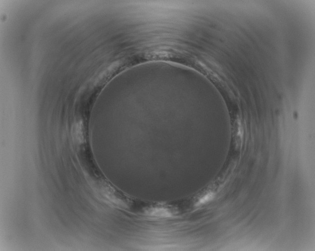 X0000062140224200512091223