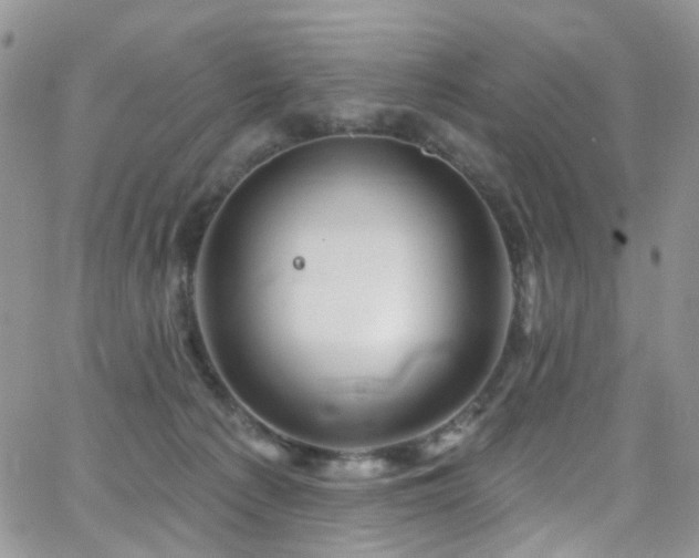 X0000062140225200512091223