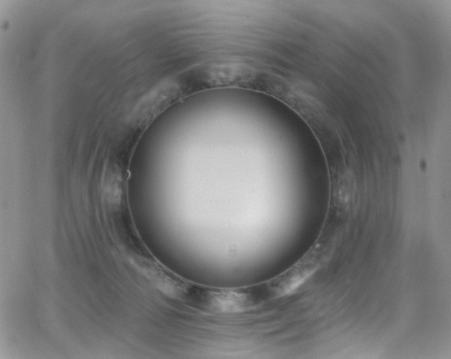 X0000062140226200512091223