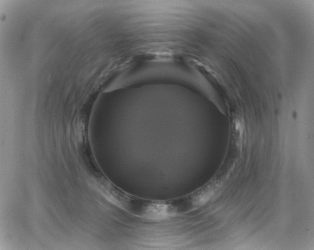 X0000062140227200512091223