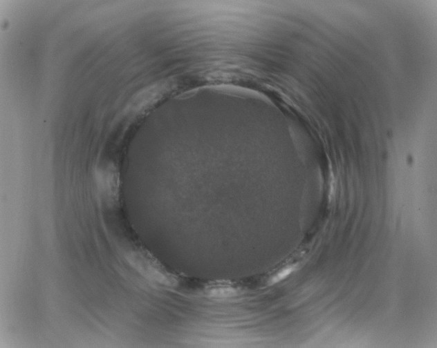 X0000062140228200512091223