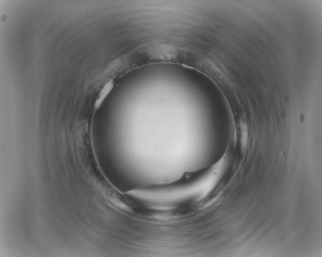 X0000062140229200512091223