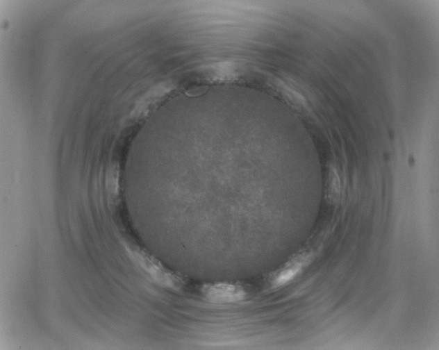 X0000062140230200512091223