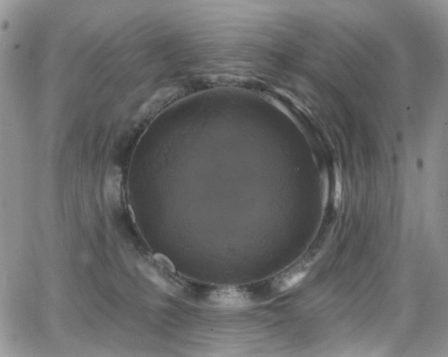 X0000062140231200512091223