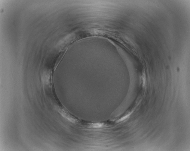 X0000062140233200512091223