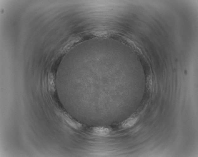 X0000062140234200512091223