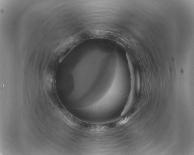 X0000062140235200512091223