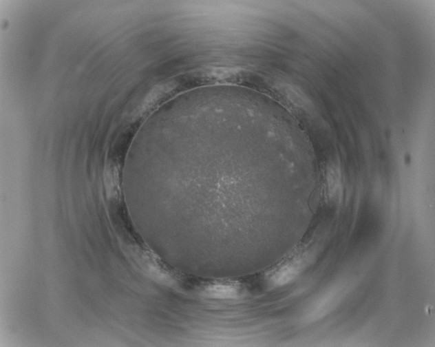 X0000062140236200512091223