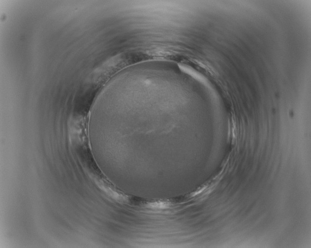 X0000062140237200512091223