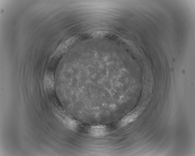 X0000062140240200512091223