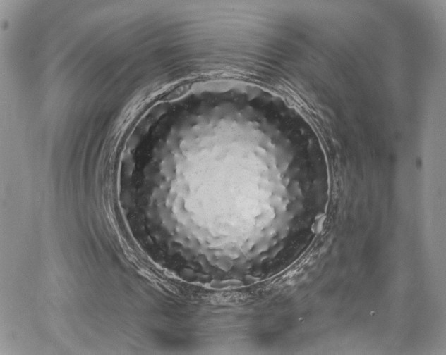 X0000062140241200512091222