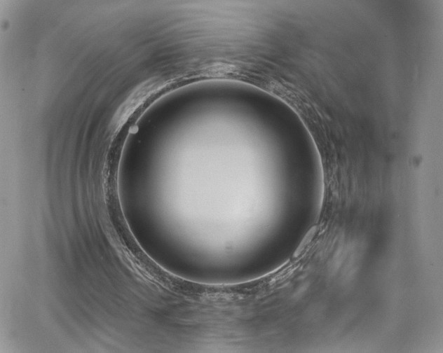 X0000062140242200512091222