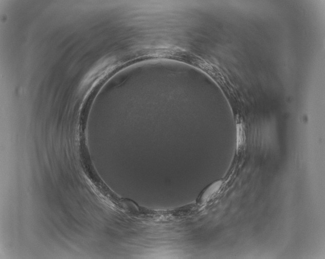 X0000062140243200512091222