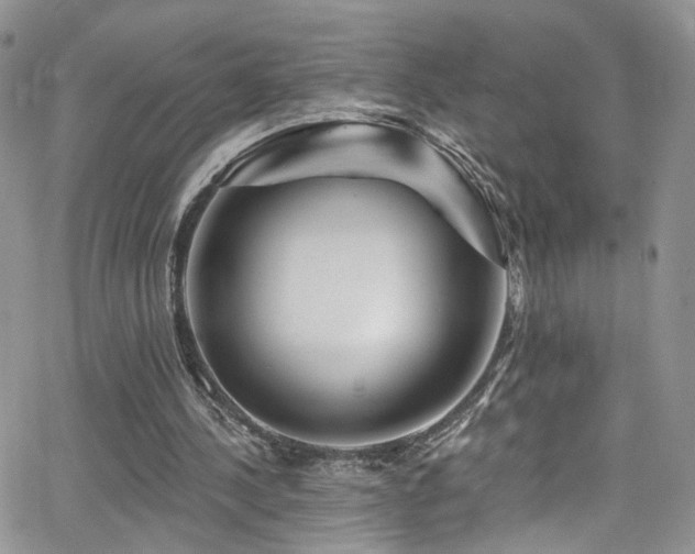 X0000062140244200512091222