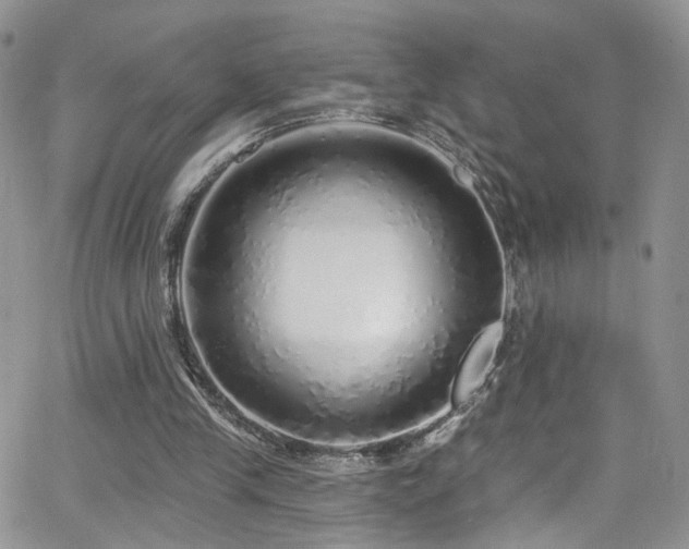 X0000062140245200512091222