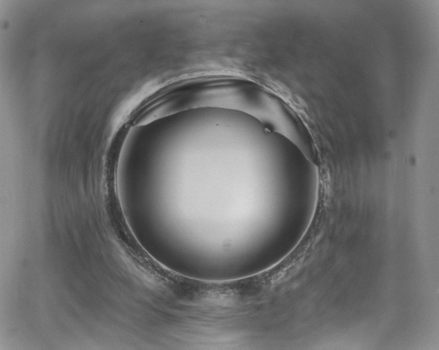 X0000062140248200512091222