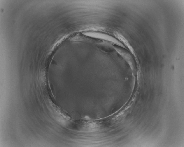 X0000062140249200512091222