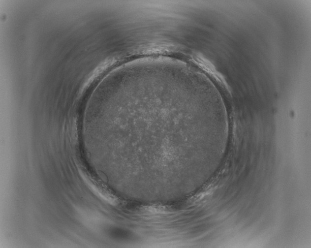 X0000062140250200512091222